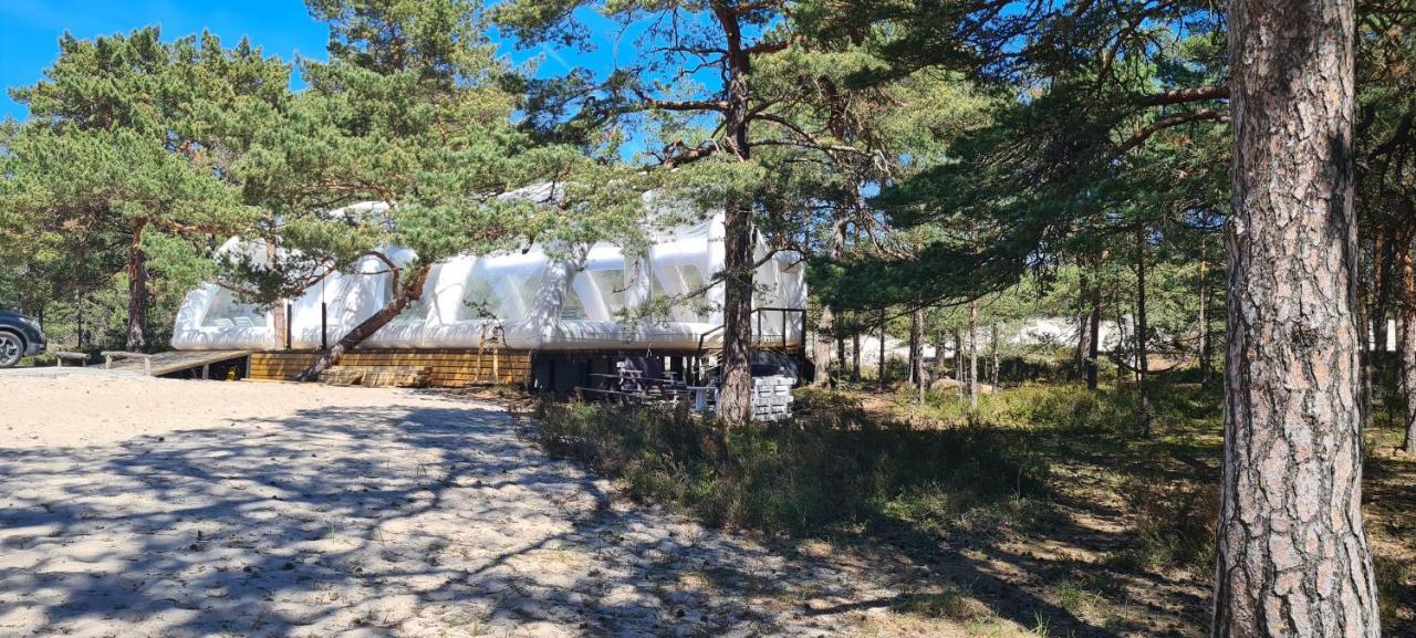 Sub Hel. Budzetowe Pokoje W Domu Z Basenem. Wokol Domu Tylko Natura. Balkon Zbyteczny. Exterior photo